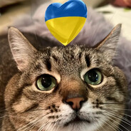 Cutecat_Azov brigade avatar
