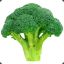 Avatar of BroccoliLover69