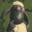 yan