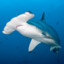 HammerHead88