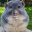 stián's avatar