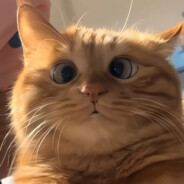 握酒称臣不尽曲