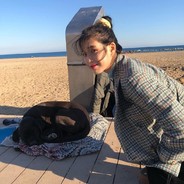 兴奋大野牛