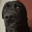 FURYOHATER