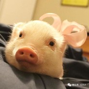 九龄姐姐是小可爱