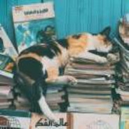 比奇堡海霸超人