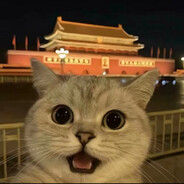 战意电竞—哈基米