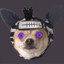 Zeus Wizard