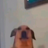 templar - steam id 76561198206236884