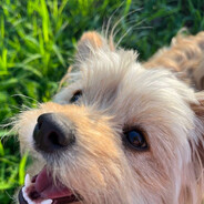 𝙍𝙖𝙗𝙗𝙞𝙩