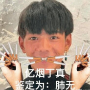 翻斗花园之丁真在理塘