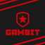GAMBIT | Multibrend