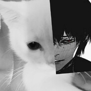 wertwy - steam id 76561198134396191