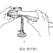 叶绿体不用吃饭