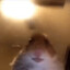 Robby Ravioli