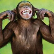 gommari - steam id 76561197967466147