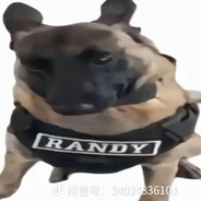玩家头像