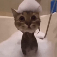 toT