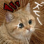 Shoe_box_ant