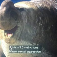 3.5 Tonnes of sexual aggression