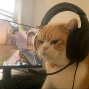 Posty-_- - steam id 76561198974125394