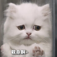 A艺(烧饼夹里脊)