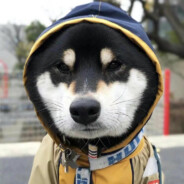 山城第一突破口