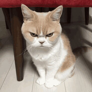 Iftekhar_The Halal Boi