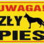 zły pies