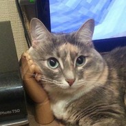 ДОТОУПОЛНОМОЧЕН