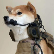 马中赤兔人中吕布