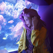 思恋吹进了左耳