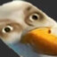 PTAKUUUUU