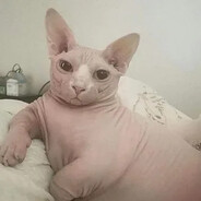 sigmapornmaster2013minecraft