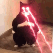 EL Gato avatar