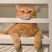 干拉然后刷抖音