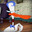 Dr. Le Quack