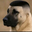 scouter