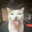 TheUltimateBean2