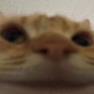 haha_yes_guy