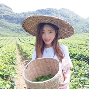 卖茶叶的小女孩