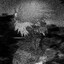 CavestFall
