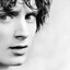 frodo