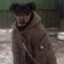 чуркоед