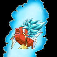 TheKarp™