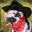 Lone Star Pig