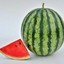 Mr Watermelon