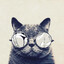 костян's avatar