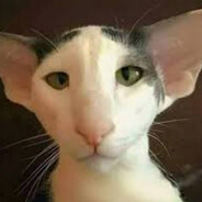 KOBRA avatar