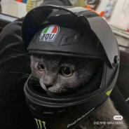 避税太多就要狠狠查